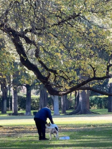 buenos aires y su gente. 

1) parque 3 de febrero. 
2) congreso. 
3) av. corrien
