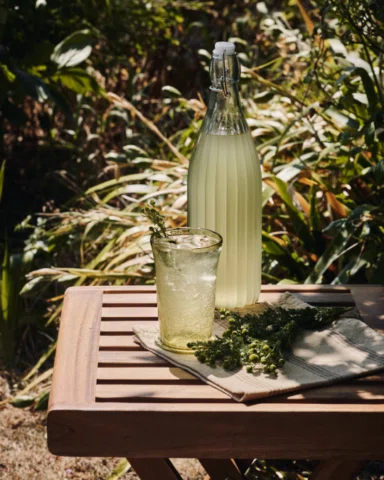 Fermented Pineapple Weed Cordial

As a wild relative of chamomile, pineapple wee