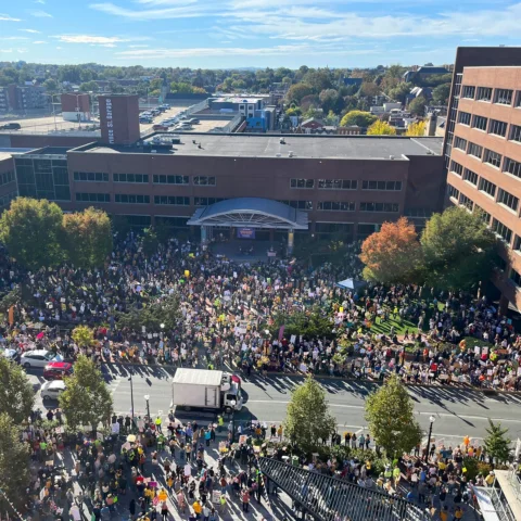 Yesterday, I asked you to send me photographs from the NO KINGS protests. Hundre
