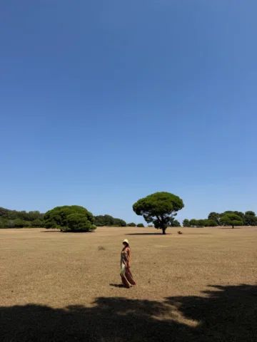 Pula/Rovinj