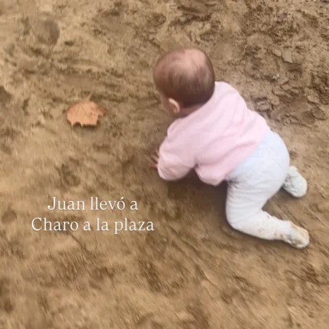 🤍