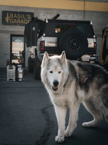 We’re giving away a truck. No, this isn’t clickbait.

Over the years on Instagra