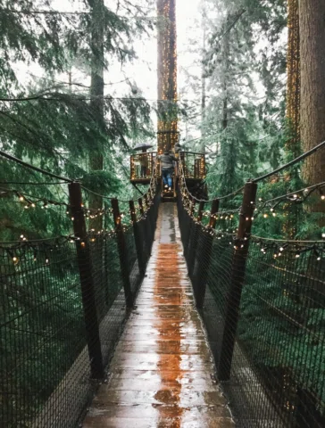 Your sign to do a road trip around BC 🇨🇦🌲