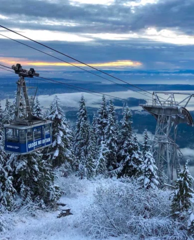 Snowy @grousemountain 🏔️🇨🇦