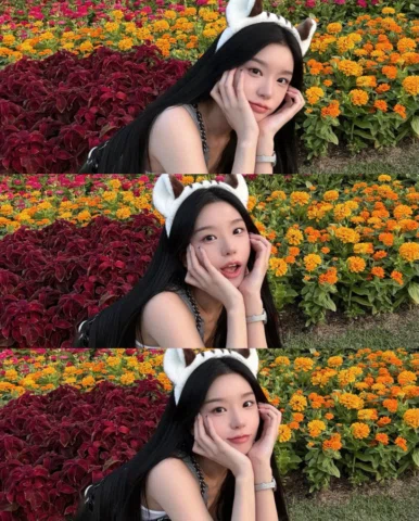 🐯🐵🦖🦖🦖