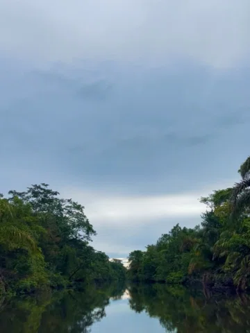 Tortuguero es de esos lugares donde la naturaleza todavía se siente intacta.  Ro