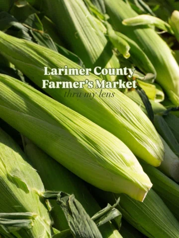 A great summer morning at the Larimer County Farmers Market working with @letsno