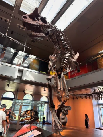 Natural History Museum LA 🍂