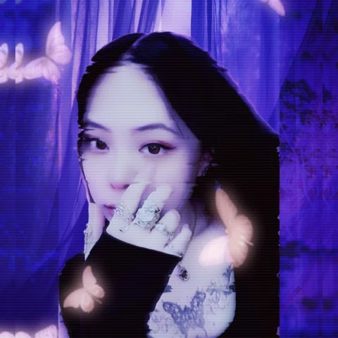 ☾ ₊‧⁺˖⋆
