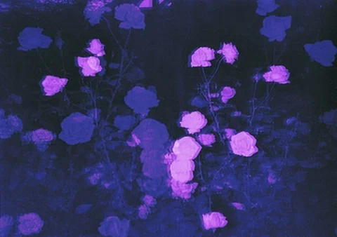 𝒾’𝓂 𝒶𝓁𝒾𝓋𝑒. 𝓇 𝓊 ~?