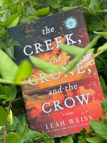 The Creek, The Crone, and the Crow is a magical read with hidden depths to it. R