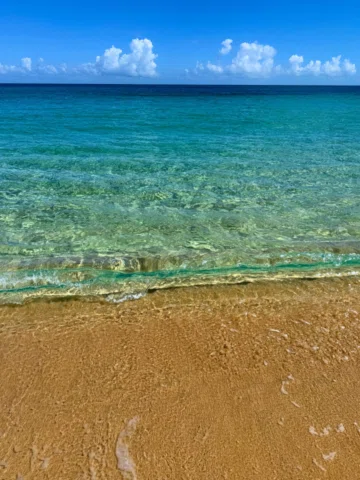 ¿estoy tarde para un dump de verano?
