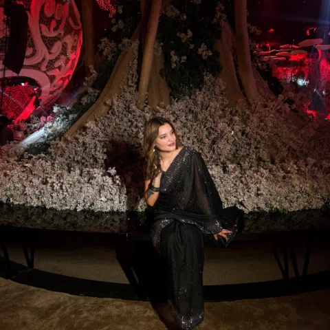 A woman in a saree is poetry in motion. 🪷🦢✨🪕🥀