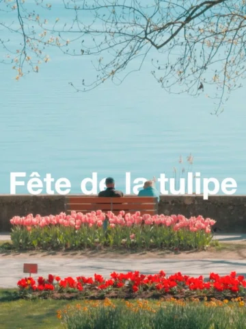 La Fête de la tulipe bat son plein à Morges 🌷

Comme chaque printemps, Morges v