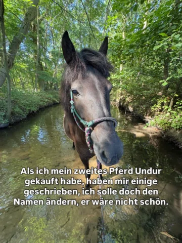 Der #Pferdepfreitag ist zurück! 🥰🐴
Nennt eigentlich irgendwer seine Haustiere 