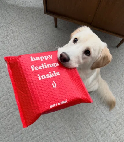Just got my paws on my first order from @sniffandbark! Want to look as stylish a