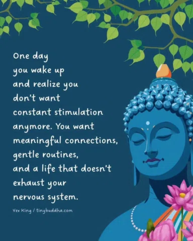 🪷 "One day you wake up and realize you don't want constant stimulation anymore.