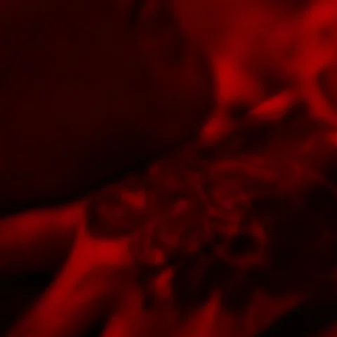 “Spit” Remix Out Now
@officialkittie