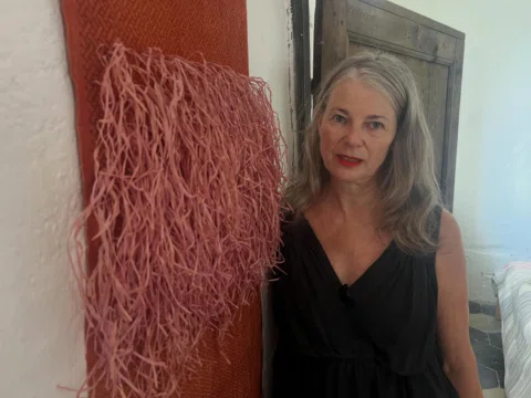 For those of you who don’t know me I am a weaver and textile artist and am curre