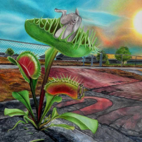 CARNIVORE OUT EVERYWHERE NEXT WEEK APRIL 1ST! PRESAVE LINK IN BIO

Be the first 