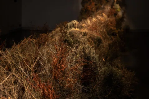 F I E L D (detail)
Now showing at Berninneit Gallery Cowes. 
Closing March 22nd.