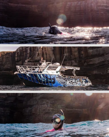 Some lovely moments in the blue…

A float by the cliffs, 
A boat in the sun,
A s