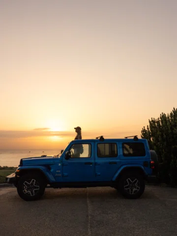 Just take the car and go 💨🐶🇦🇺 @jeepaustralia