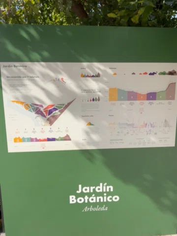 No todos los días caminas un proyecto con lo imaginaron desde cero… fui a un rec