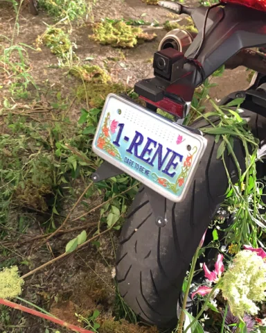 1RENE🌼🫧🌱🪵