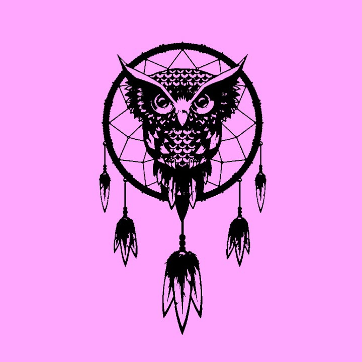 Dreamcatcher 2