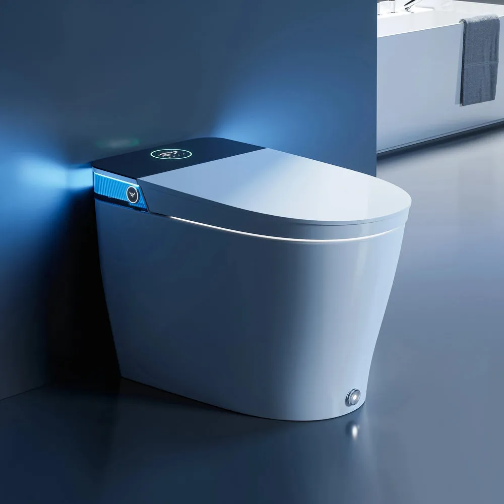 Smart Toilet