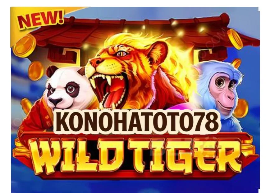 KONOHATOTO78