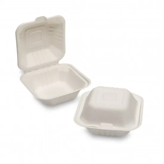 Bagasse plates and boxes Surrey