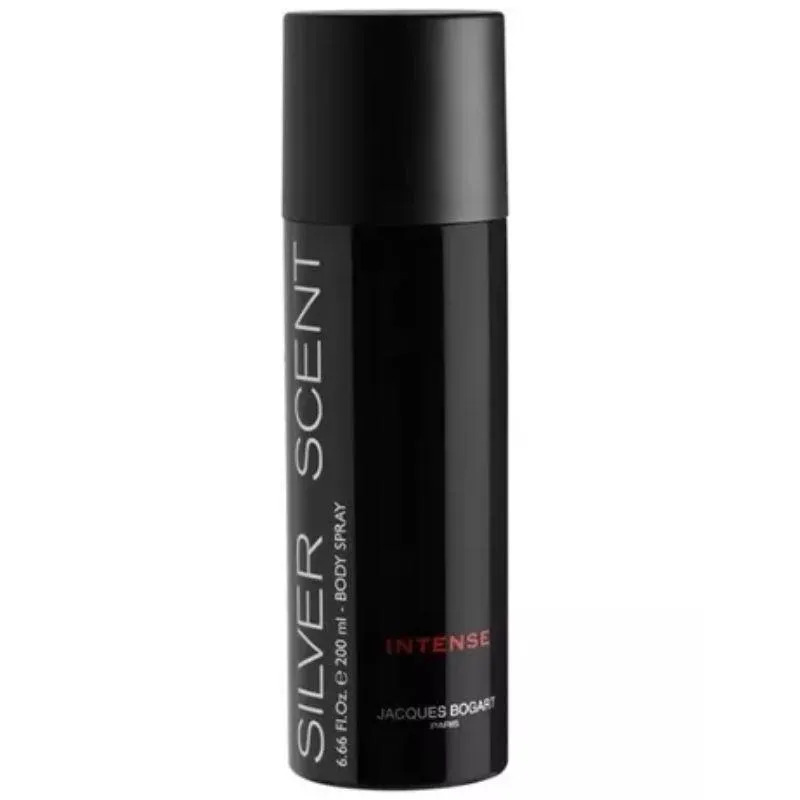 Desodorante aerosol silver scent intense  200ml