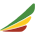 Ethiopian Airlines