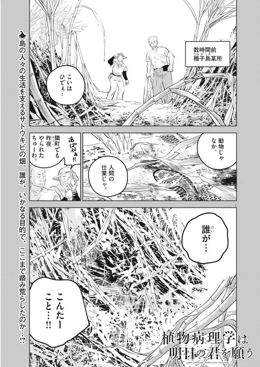 植物病理学は明日の君を願う 第34話 無料漫画 RAW