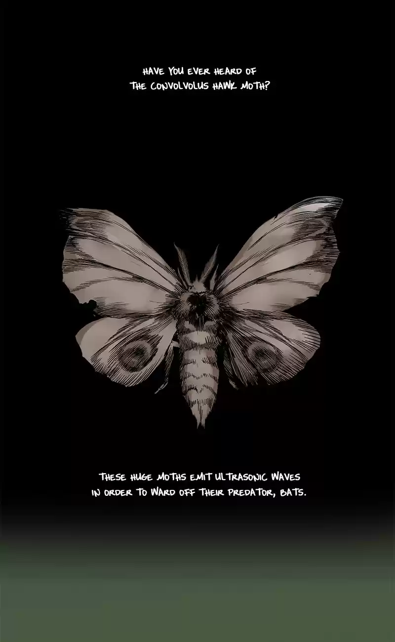 0.0 Mhz Vol. 2 Ch. 20