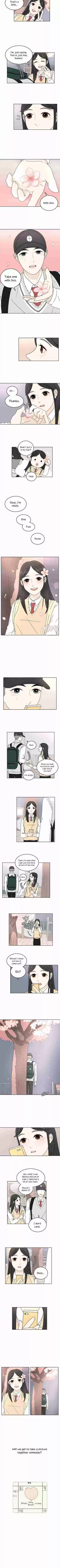 30 Minute Walk Ch. 8 Cherry Blossoms