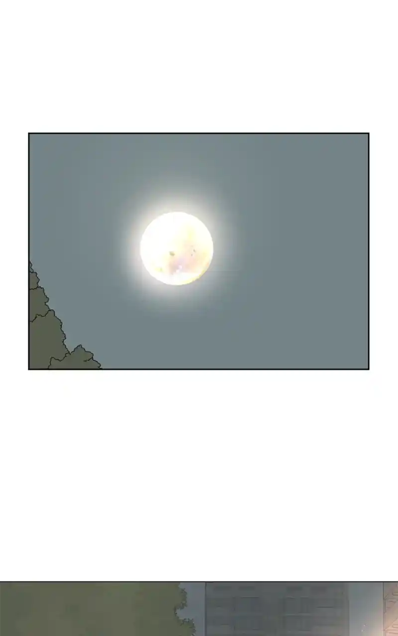 30 Minute Walk Chapter 104