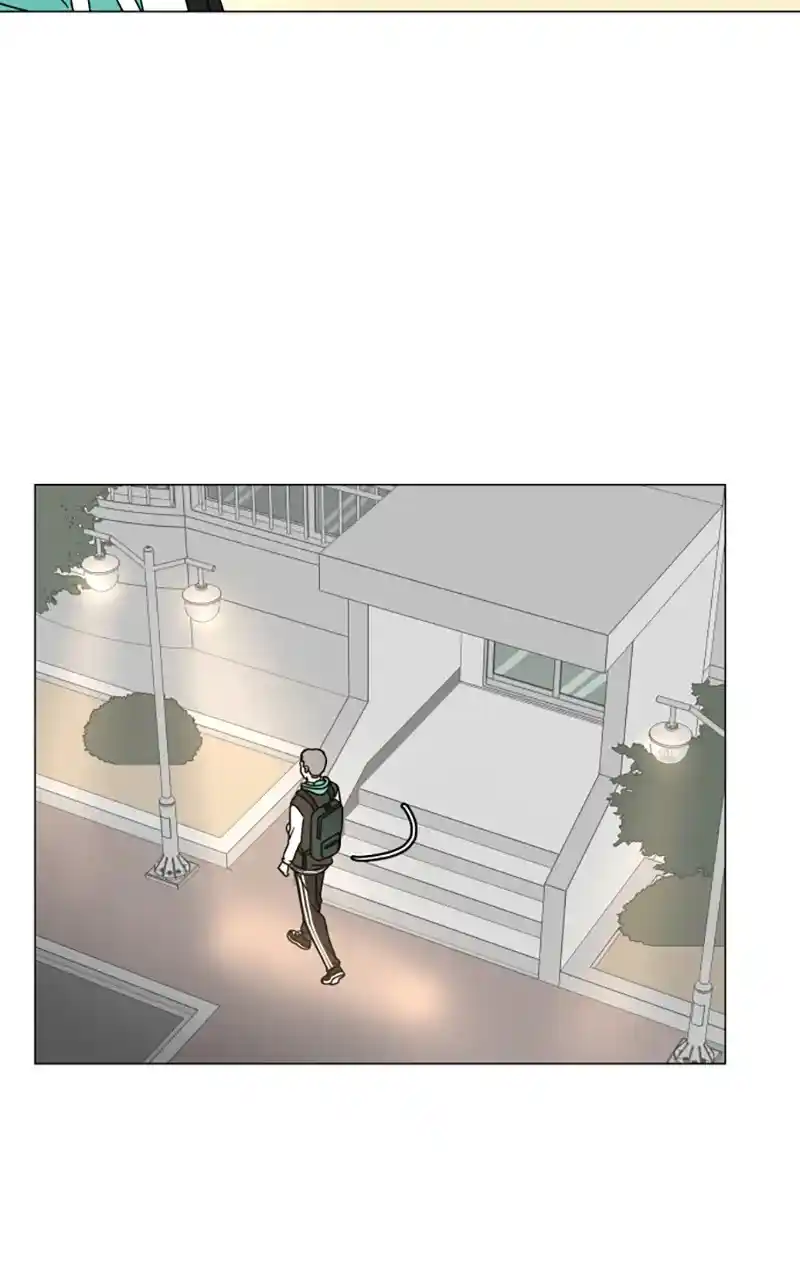 30 Minute Walk Chapter 104