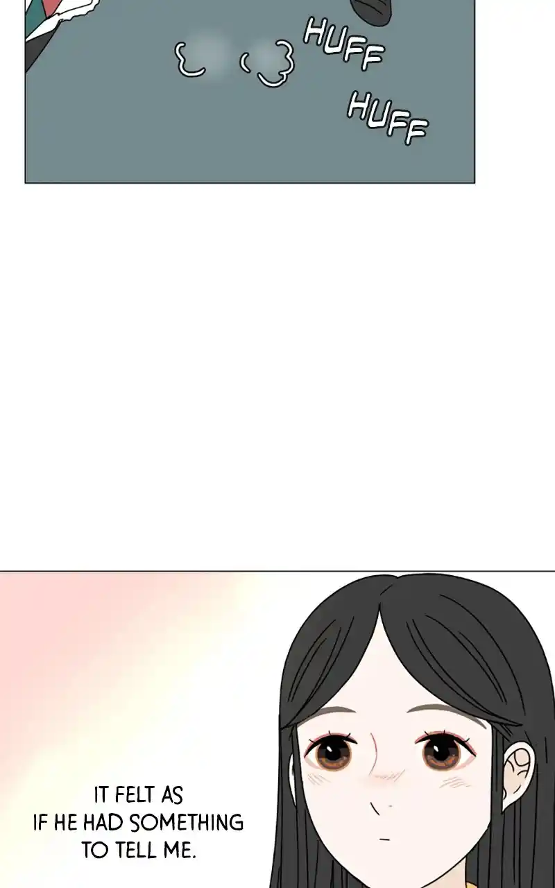 30 Minute Walk Chapter 108