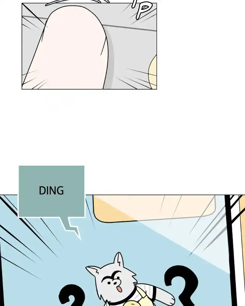 30 Minute Walk Chapter 109