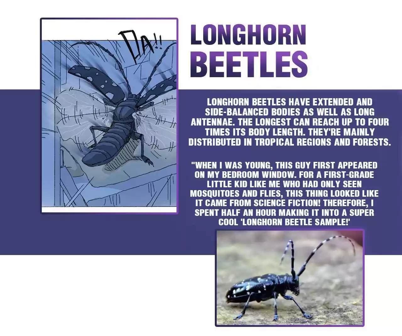 404 Case Manual: 30 Seconds Till Apocalypse 20 Bug Man Encyclopedia