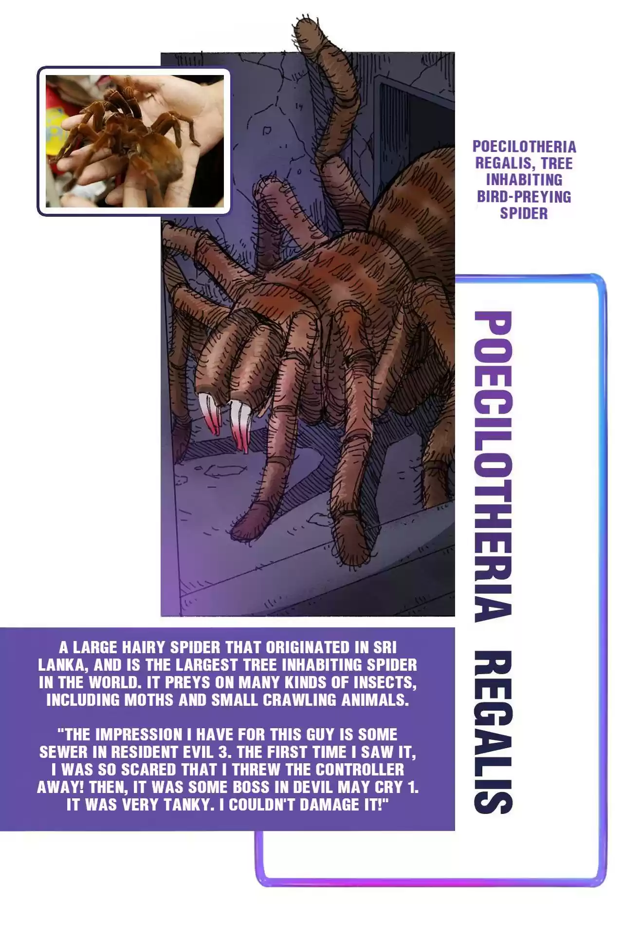 404 Case Manual: 30 Seconds Till Apocalypse 20 Bug Man Encyclopedia