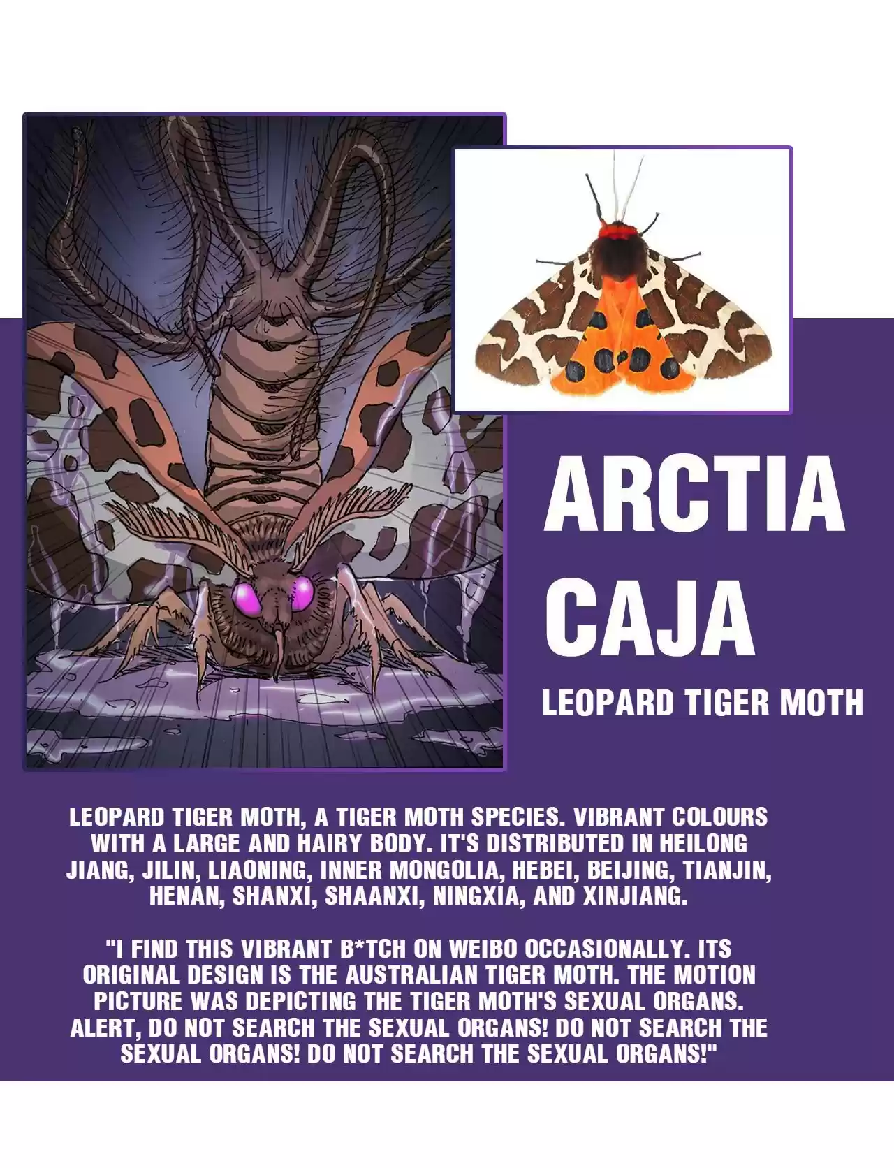 404 Case Manual: 30 Seconds Till Apocalypse 20 Bug Man Encyclopedia