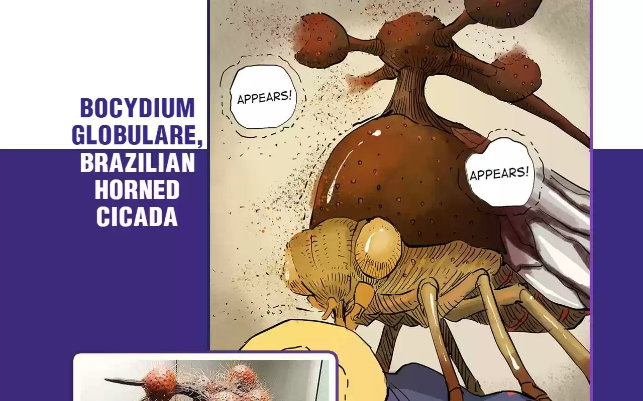 404 Case Manual: 30 Seconds Till Apocalypse 20 Bug Man Encyclopedia