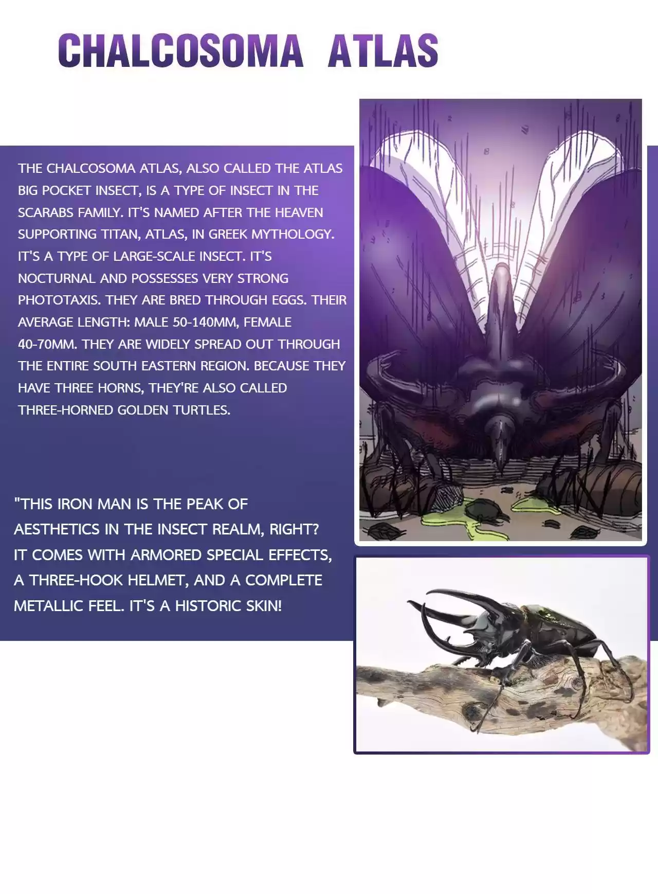 404 Case Manual: 30 Seconds Till Apocalypse 33 Extra1 + Encyclopedia