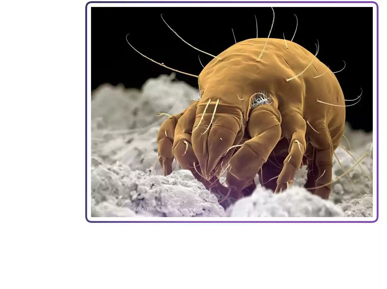 404 Case Manual: 30 Seconds Till Apocalypse 33 Extra1 + Encyclopedia