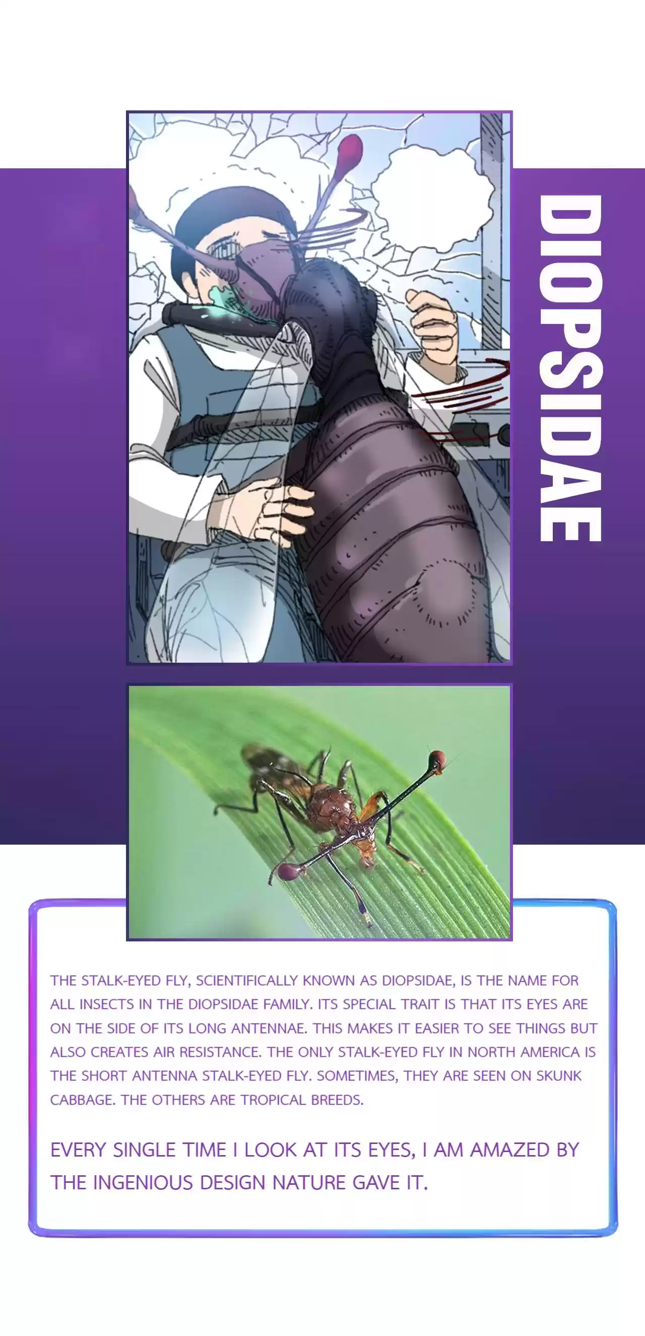 404 Case Manual: 30 Seconds Till Apocalypse 33 Extra1 + Encyclopedia