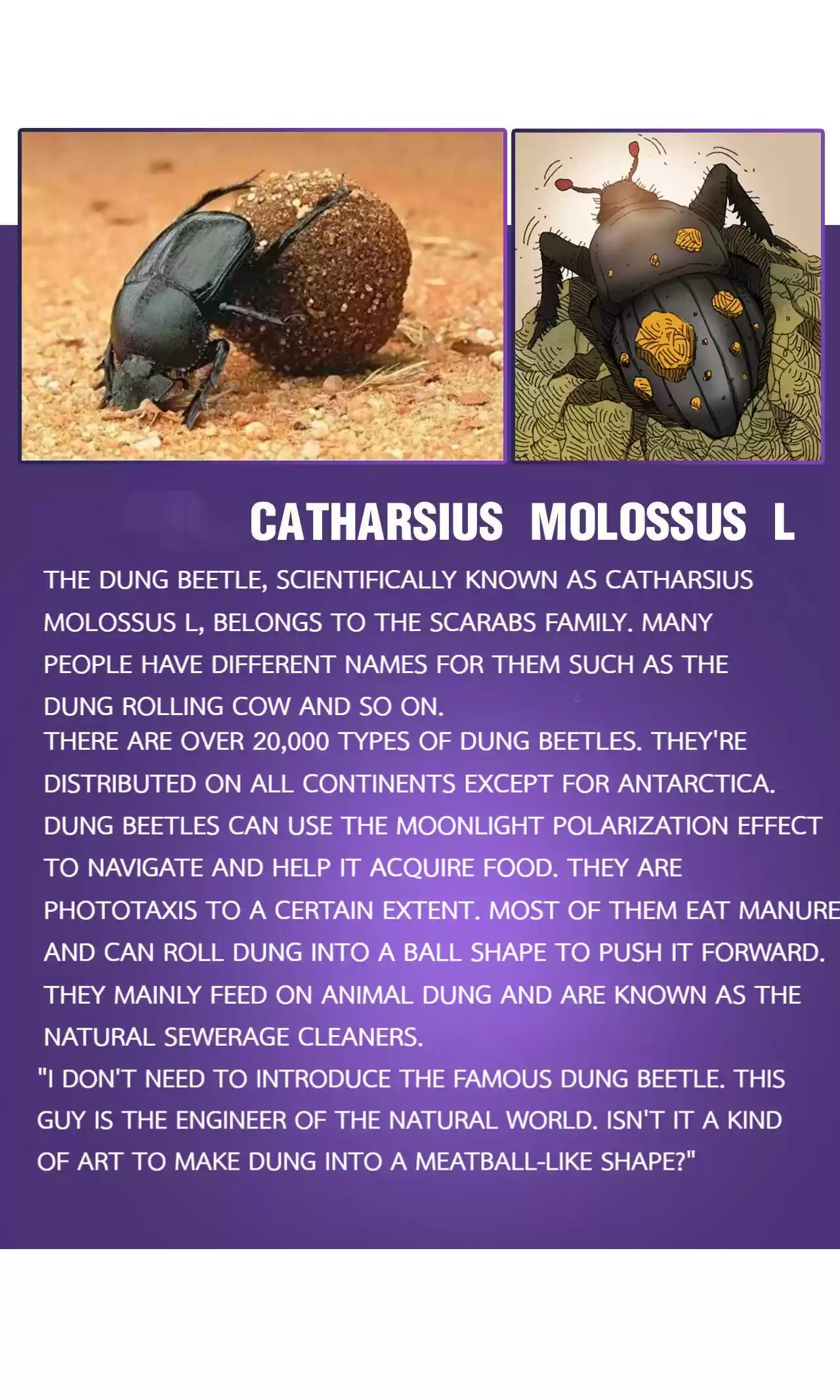 404 Case Manual: 30 Seconds Till Apocalypse 33 Extra1 + Encyclopedia